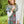 Load image into Gallery viewer, Black and White Scarf from Kaffe Fassett's Felted Tweed Book