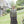 Load image into Gallery viewer, Bloomsbury Collection Nine by Marie Wallin - emmshaberdasheryshop