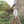 Load image into Gallery viewer, Bloomsbury Collection Nine by Marie Wallin - emmshaberdasheryshop