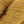 Load image into Gallery viewer, Rowan Moordale - emmshaberdasheryshop