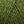Load image into Gallery viewer, Rowan Baby Merino Silk DK - emmshaberdasheryshop