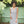 Load image into Gallery viewer, Rowan Cotton Crochet - emmshaberdasheryshop
