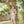 Load image into Gallery viewer, Rowan Cotton Cashmere Collection - emmshaberdasheryshop
