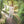 Load image into Gallery viewer, Rowan Cotton Cashmere Collection - emmshaberdasheryshop
