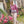 Load image into Gallery viewer, Rowan Magazine 65 - emmshaberdasheryshop
