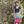 Load image into Gallery viewer, Rowan Summerlite 4ply Brochure - emmshaberdasheryshop
