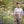 Load image into Gallery viewer, Rowan Summerlite 4ply Brochure - emmshaberdasheryshop
