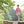 Load image into Gallery viewer, Rowan Summerlite 4ply Brochure - emmshaberdasheryshop
